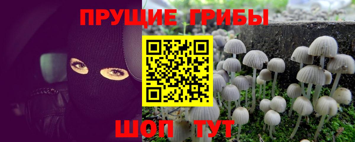 Белореченск  Псилоцибиновые грибы прущие грибы  что такое наркотик  Вход с VPN 