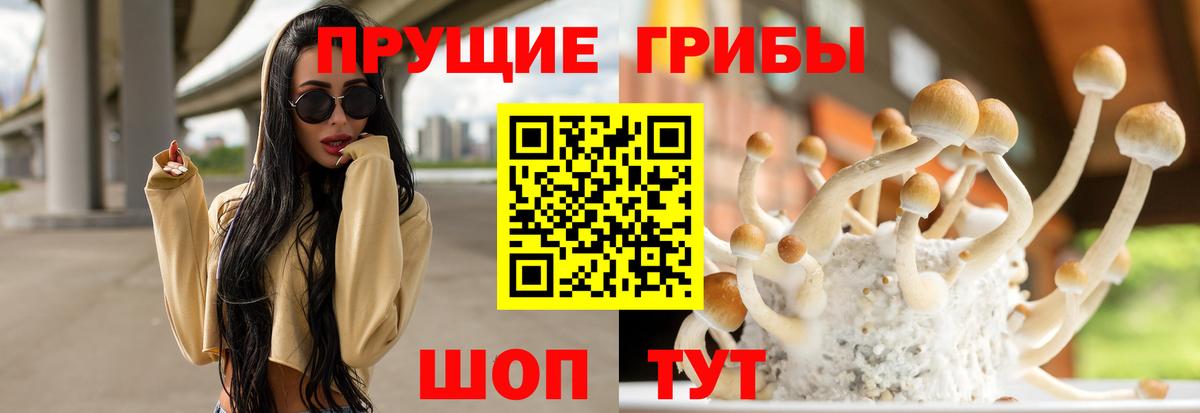 Псилоцибиновые грибы мицелий Белореченск